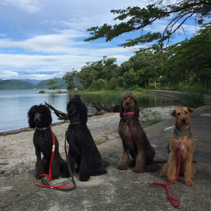 6ee3de75 09e4 4853 93b2 83b06e3ed2d1