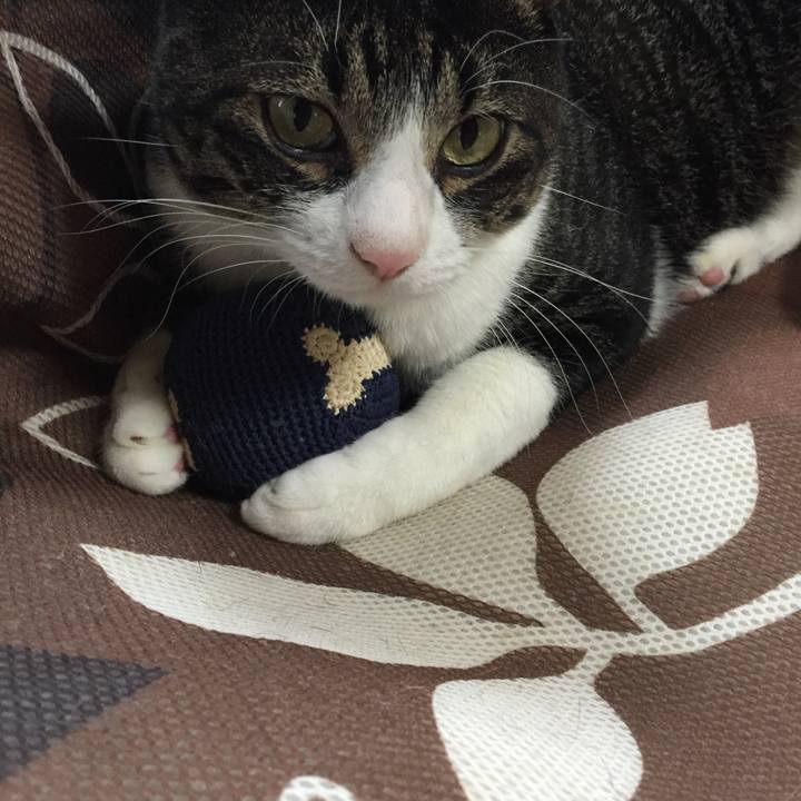 6ee445c0 7409 4591 9321 01ab215f4e63