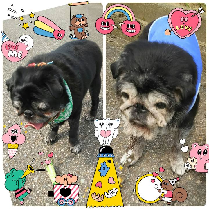 6ee56fe4 30b7 4b82 9b43 bc5847efc8ab