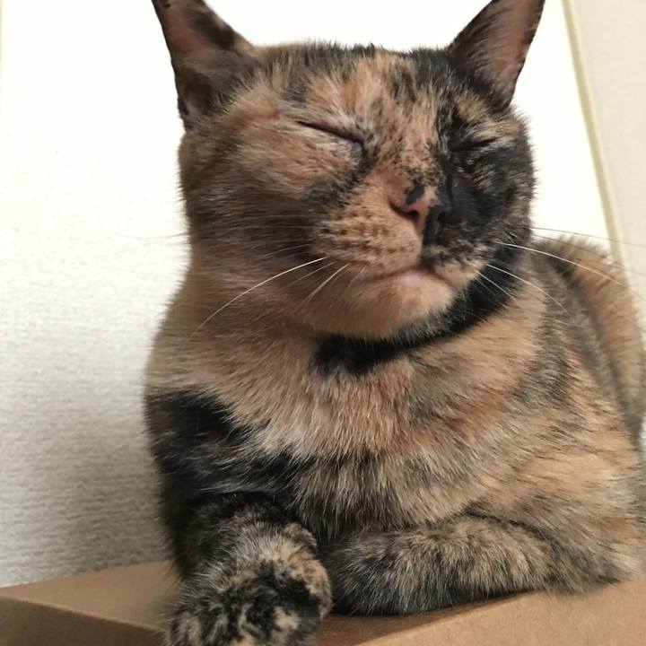 6ee64a77 6b75 4e7c bb8f 7e222e992dd6