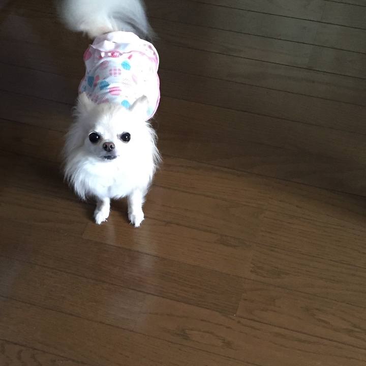 6ee7055a 3c95 4a14 99ee b61039fb7c48