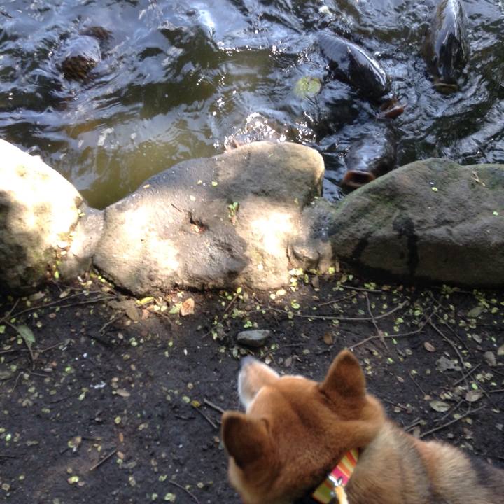 6ee80b76 c6f0 4ef6 bb8d c389f5baab35