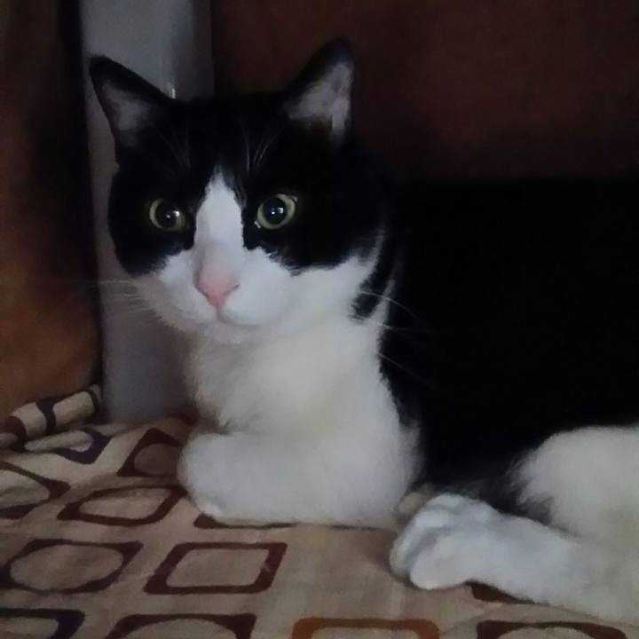 6ee8ea37 4cb0 4989 b4e8 f88c07181e3e