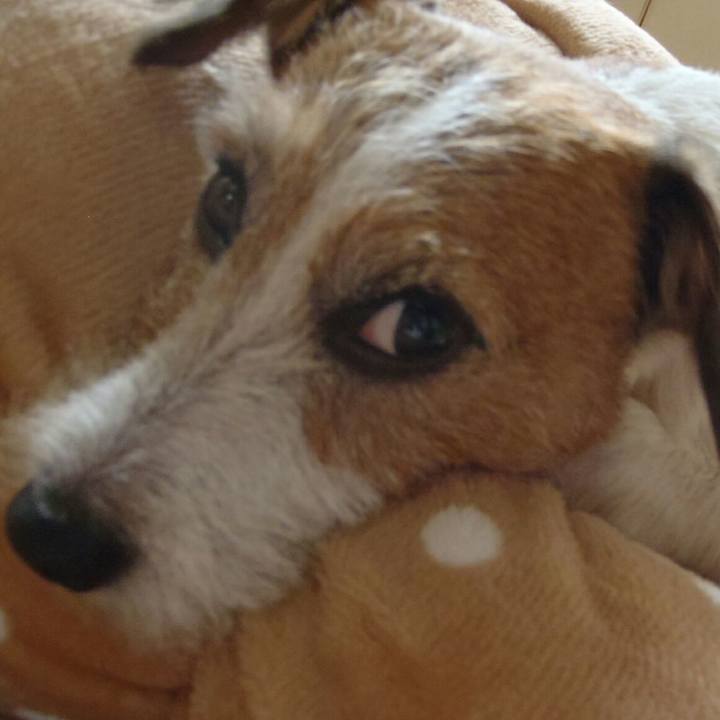 6ee93728 c0fa 40c7 9a93 619067cb26fb