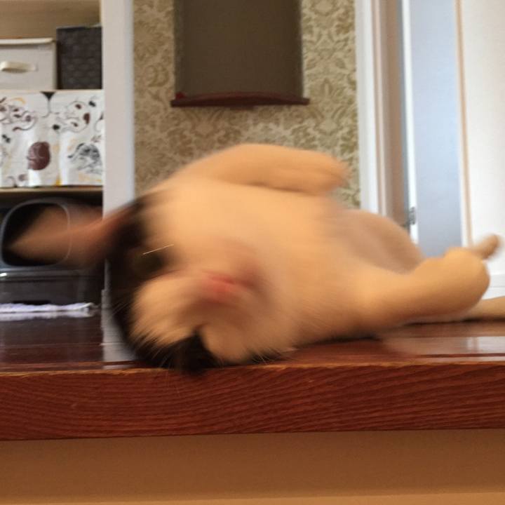 6ee98be2 5169 4216 bdb8 224a24a7d557