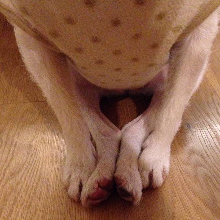 6ee9e0c8 c29a 44f4 a1a3 c54c7f1cf422