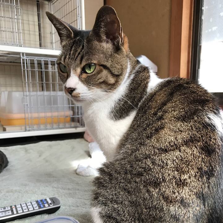 6ee9fde2 7521 4323 b059 86e3e50c11a7