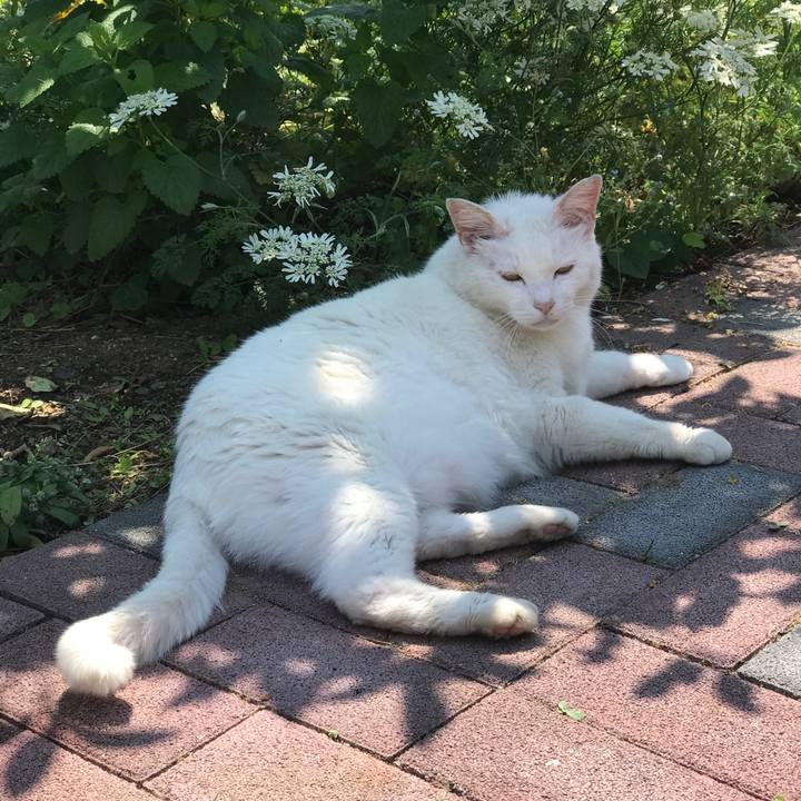 6eeab118 36e7 449c 89f7 f6f139c50b60