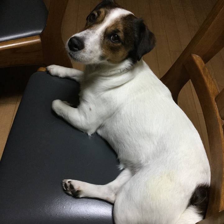 6eeb7c15 96e5 42c2 9c3e eccd9197963d