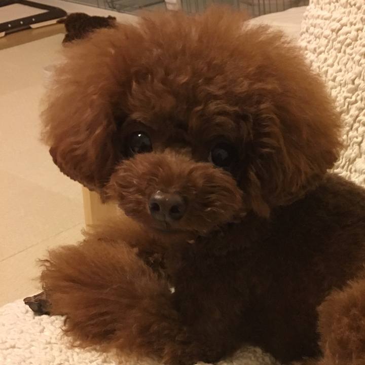 6eeba5a3 d833 4510 b2d1 f69611443a37