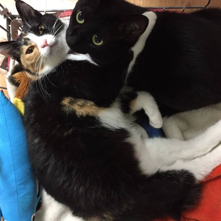 6eebd8e5 7a04 4e64 a991 56b4ba5b5dfd