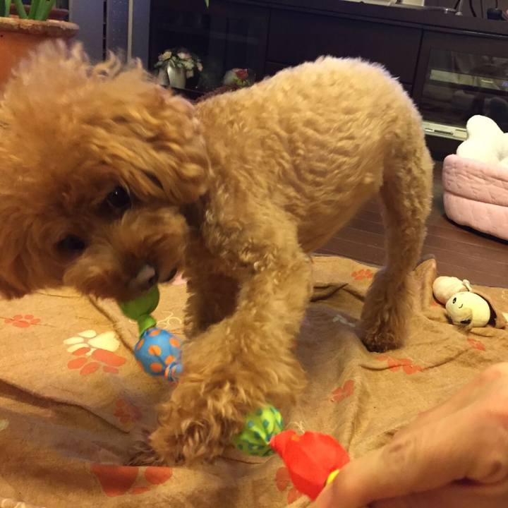 6eec06ec 6e7a 4f4a 9979 de9306622321