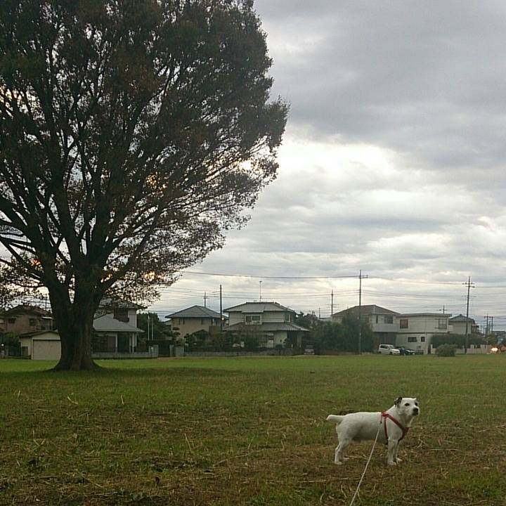 6eec4b50 4c46 4930 83f9 ee4ad8effbbb