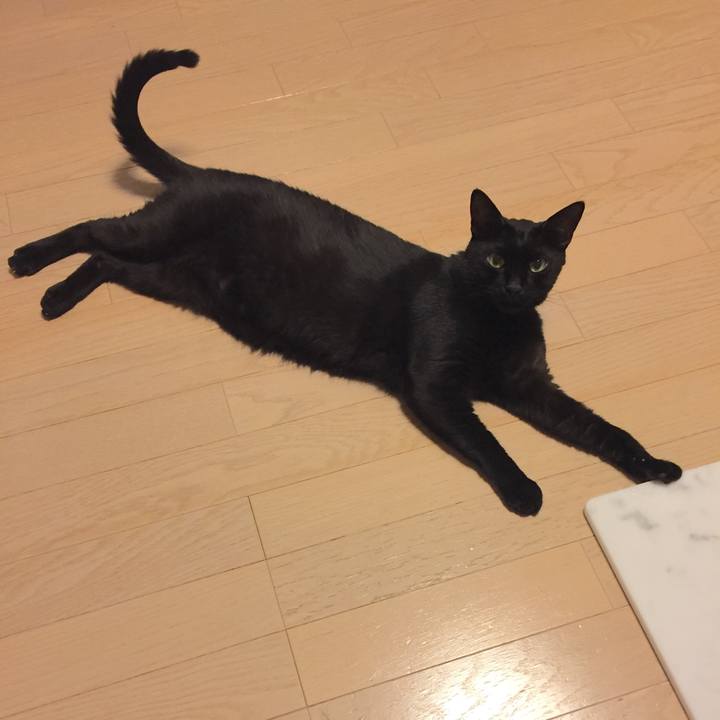 6eec59d7 6d34 482c 808c c90d6068a76d