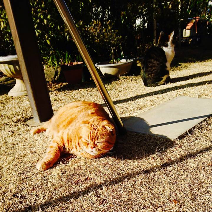 6eec92b4 36a2 4063 bb32 ffccf8dfe613