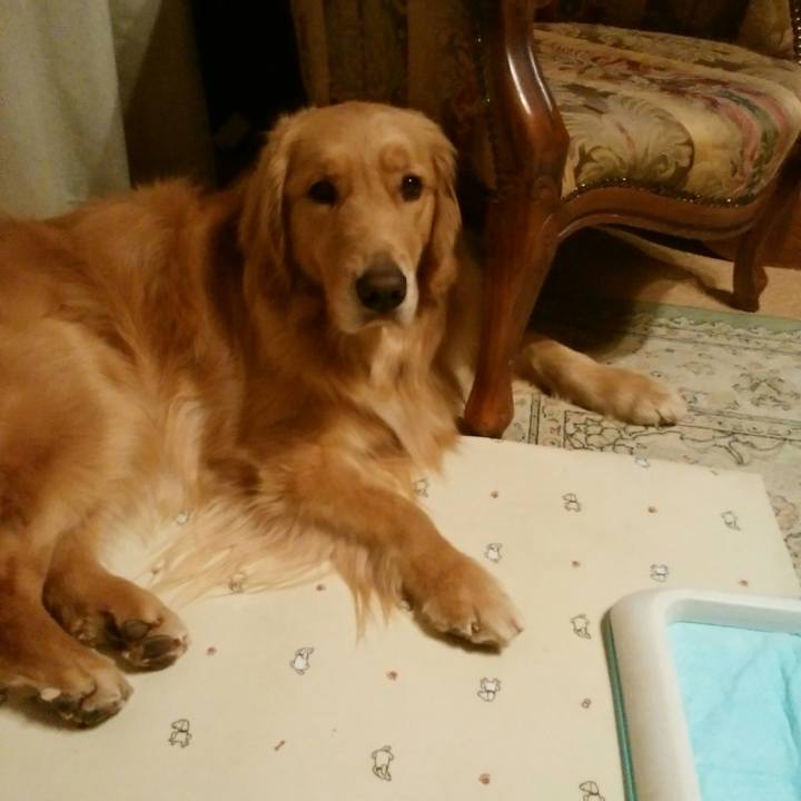 6eecb806 a685 493f 9dac c68cea13aeee