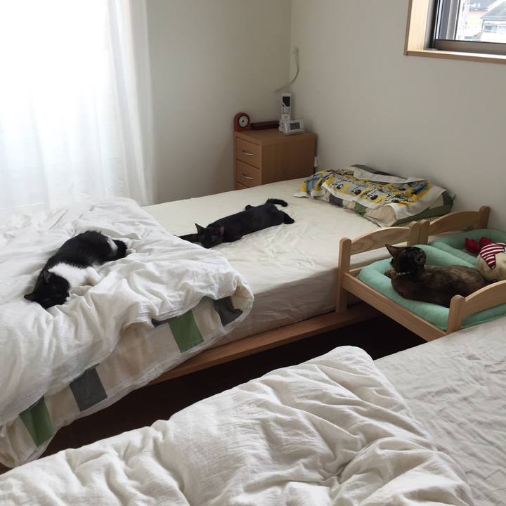 6eed8262 219a 415a b19e c4db0118c837