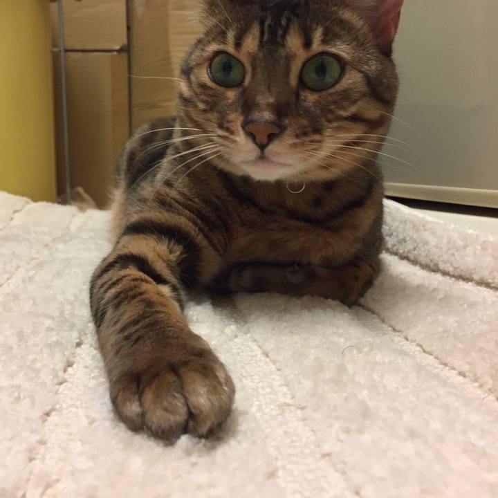 6eeef6cb 1aec 4894 998f 0fc408ebeb9d