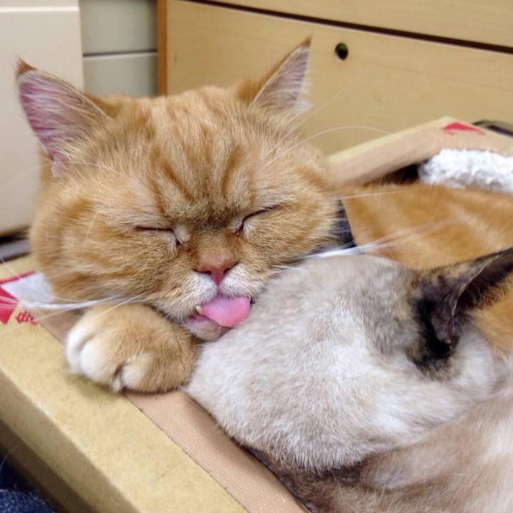 6eef7240 139e 4142 af71 e048468b8f86