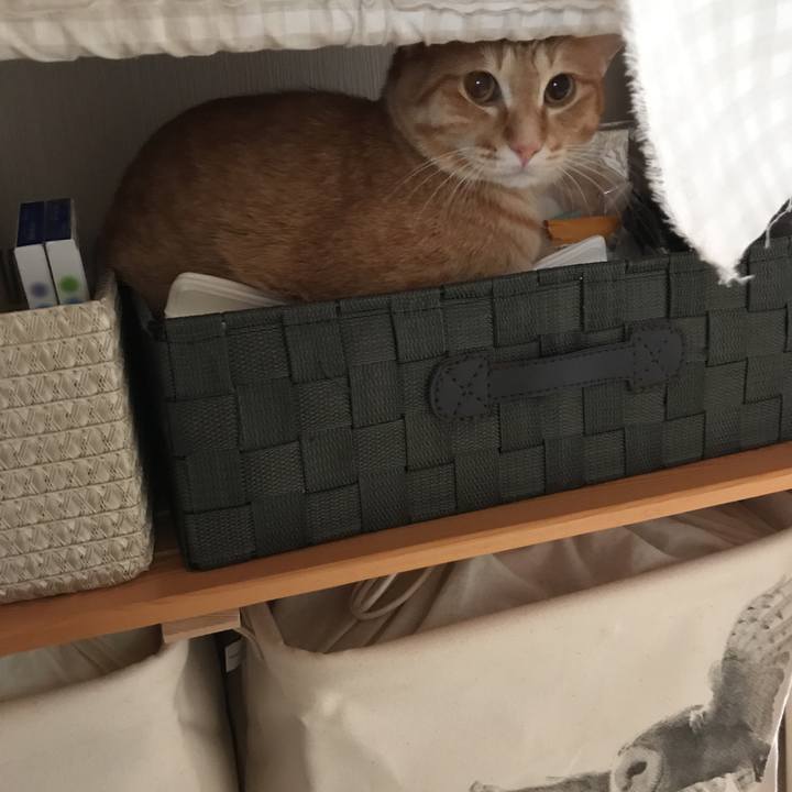 6eef730c 090a 4ce4 b0ae 20e5070fb9bc