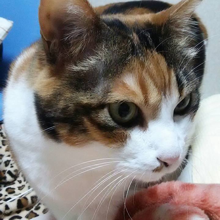 6eefb6a2 c159 4765 8c0c d10f6924c4b6