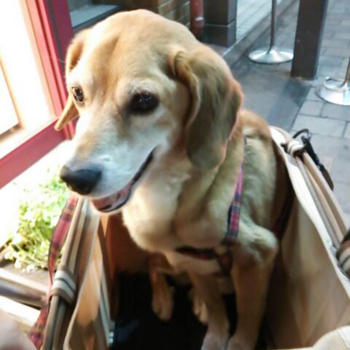 6ef06b69 192f 4d1e 80b1 8733aa04d19a