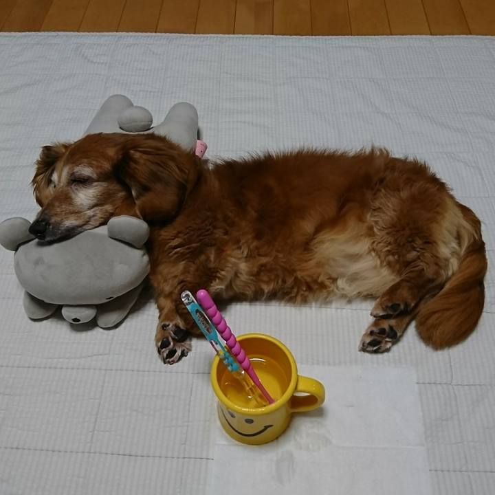 6ef077e4 5110 4b07 a8f6 2a938339bda7