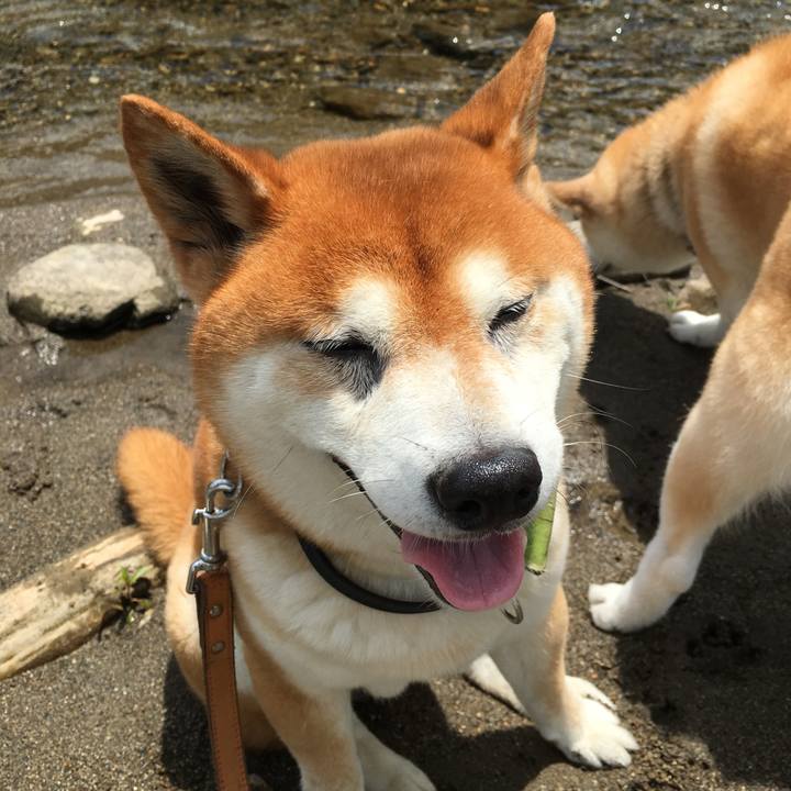 6ef0d13b 1d74 4ffa 8e7d 1d6442f3cf5c