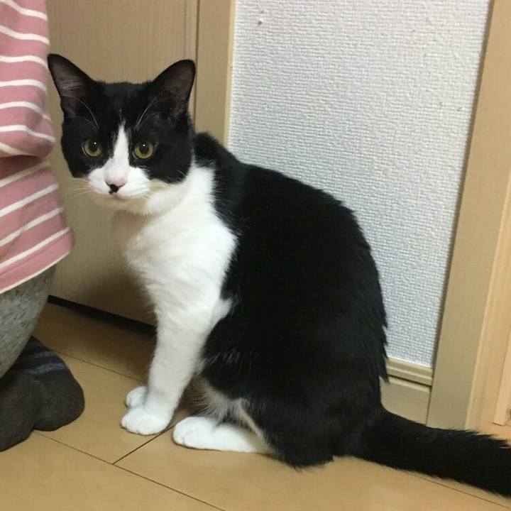 6ef14fc1 a268 4d35 9604 1b9867c7f6d5