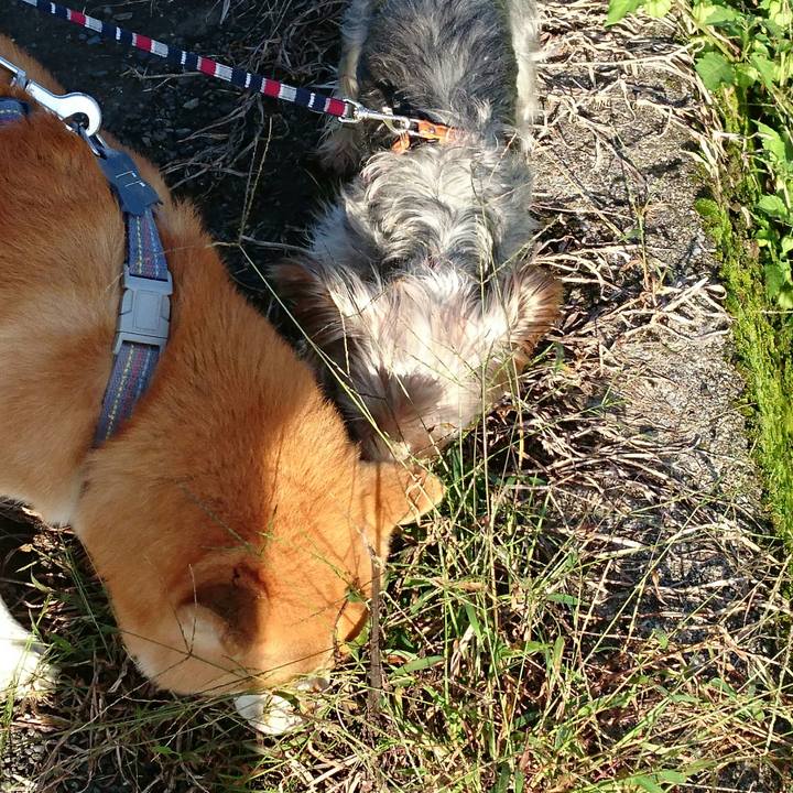 6ef160c4 ea88 4374 b2b5 ae4c3d9320c9