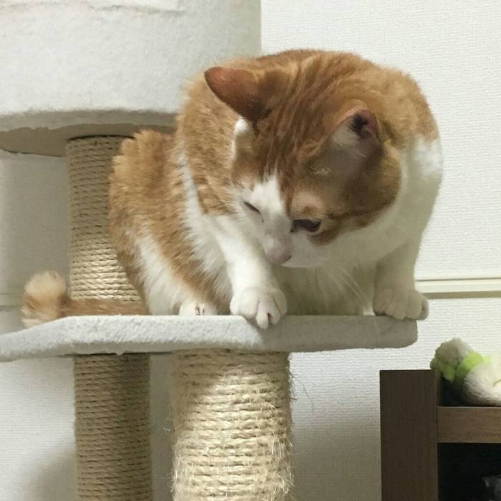 6ef17efb 48ec 470c 9265 8f46e182f6be