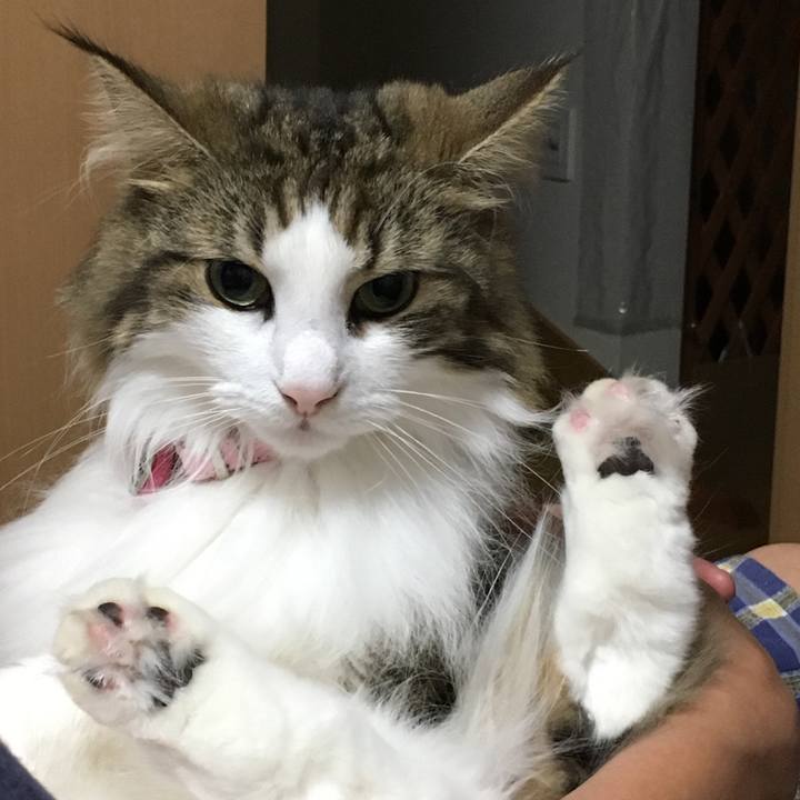 6ef1bfaf ae8d 435d bbe8 2e294c2f2317