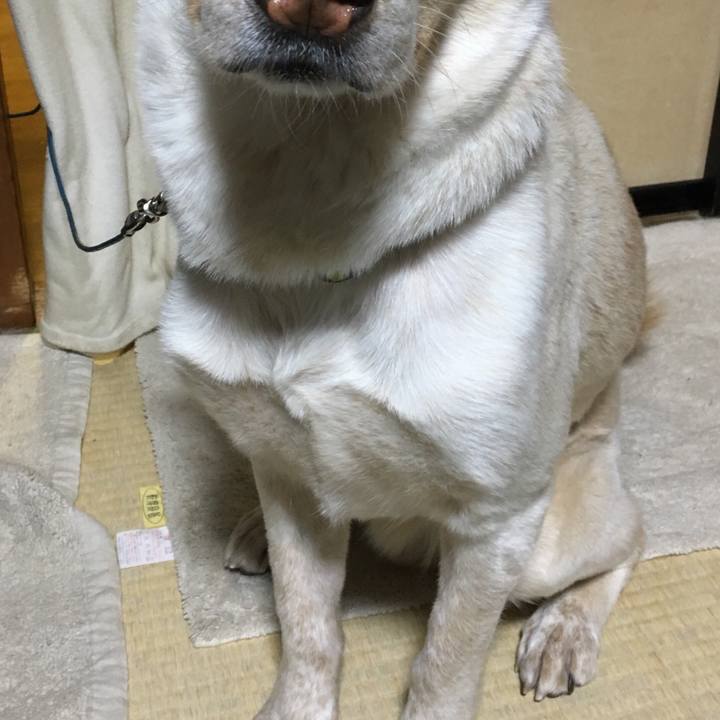 6ef1d352 5a19 4481 a99f 83fe089bb568