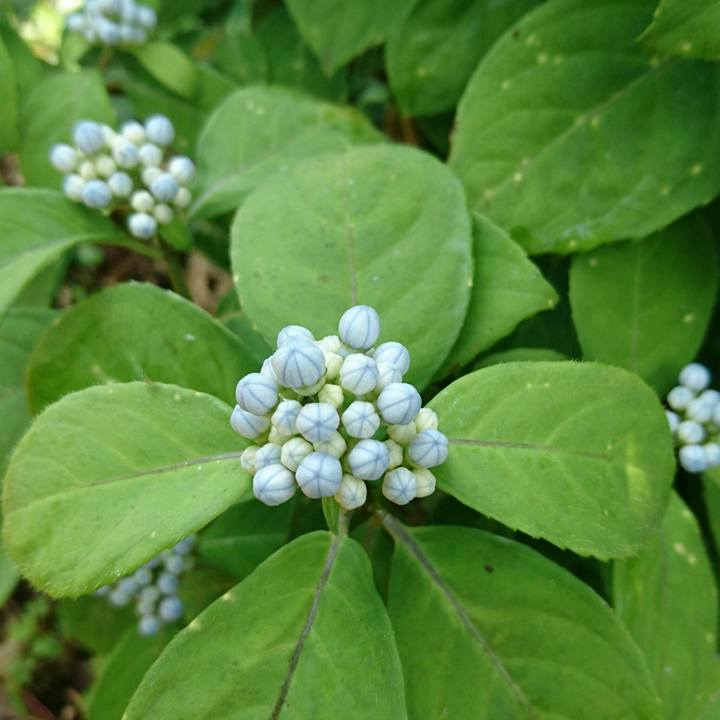 6ef1f077 2cef 4cab 8300 acae3d730e28