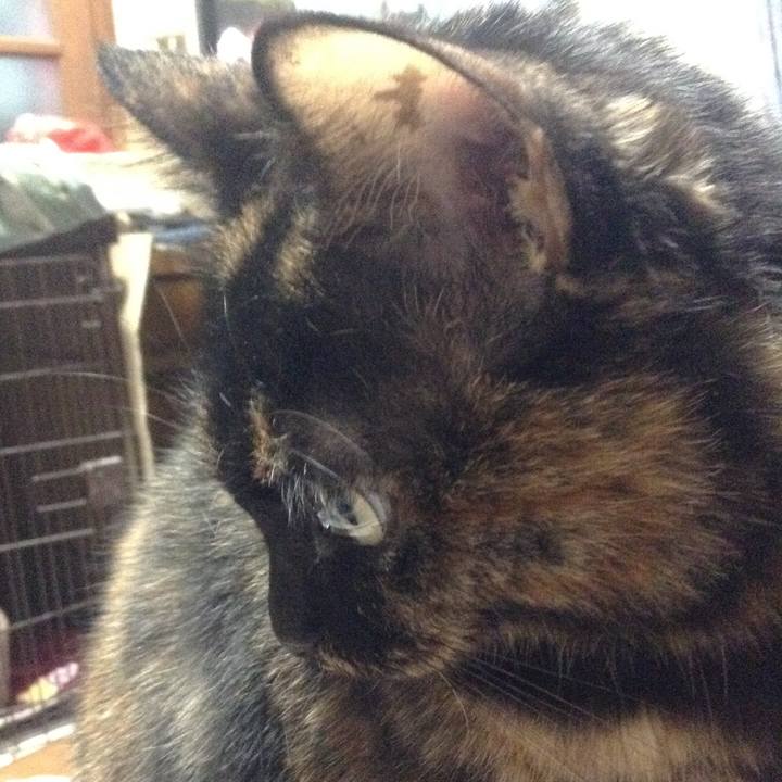 6ef26e97 b446 45f3 aec7 36754852bc7c