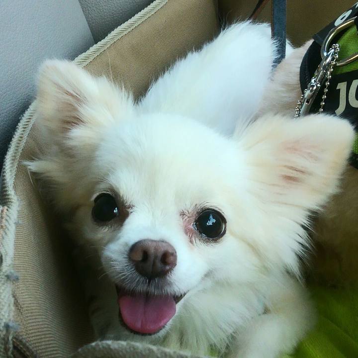 6ef31209 25a7 45ed 8943 46f6a39c53cd