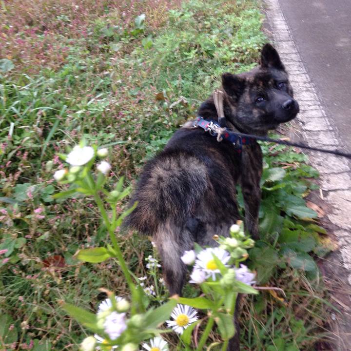 6ef3734d 219f 4dbe 98b1 b57cafdd420c