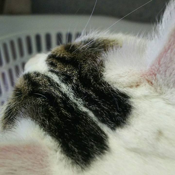 6ef37dd2 1fb8 487b 88b8 15c087d9f4d6