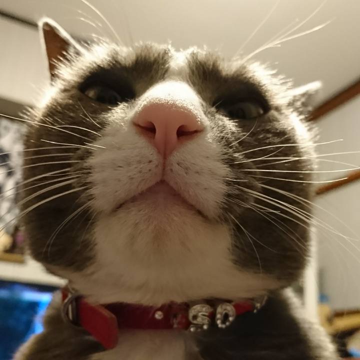 6ef3869f a0a9 44df 8f0e 9c2a6840894c