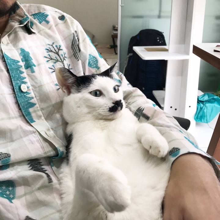 6ef3bee0 3d92 4472 8aff 2301f91e44e0