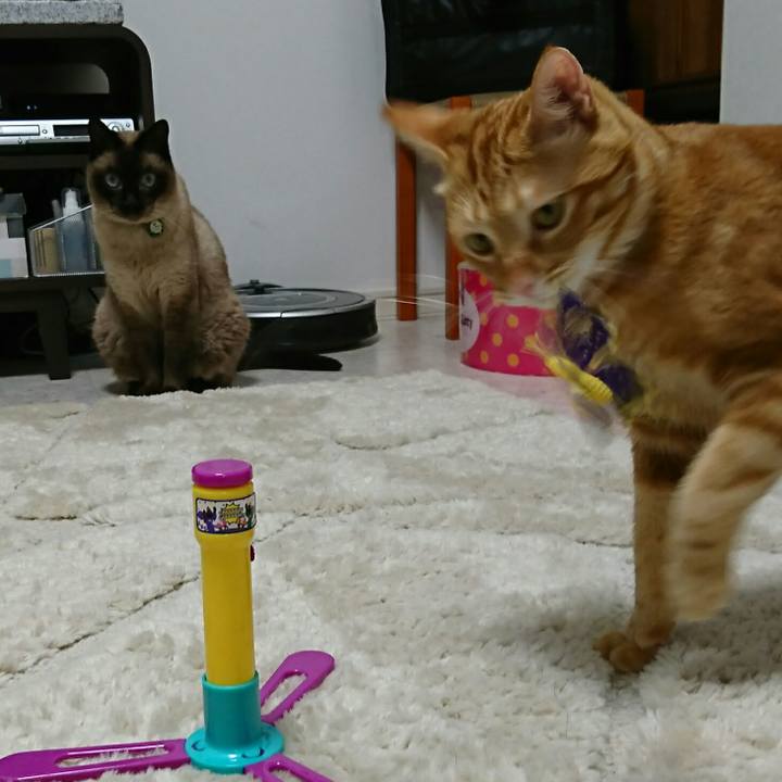 6ef3dbfa 0e90 47b2 8cbd 9b6950ec3b76