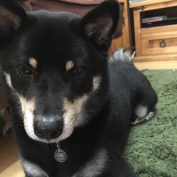 6ef42487 bf78 42c7 a62e 937f0a103625