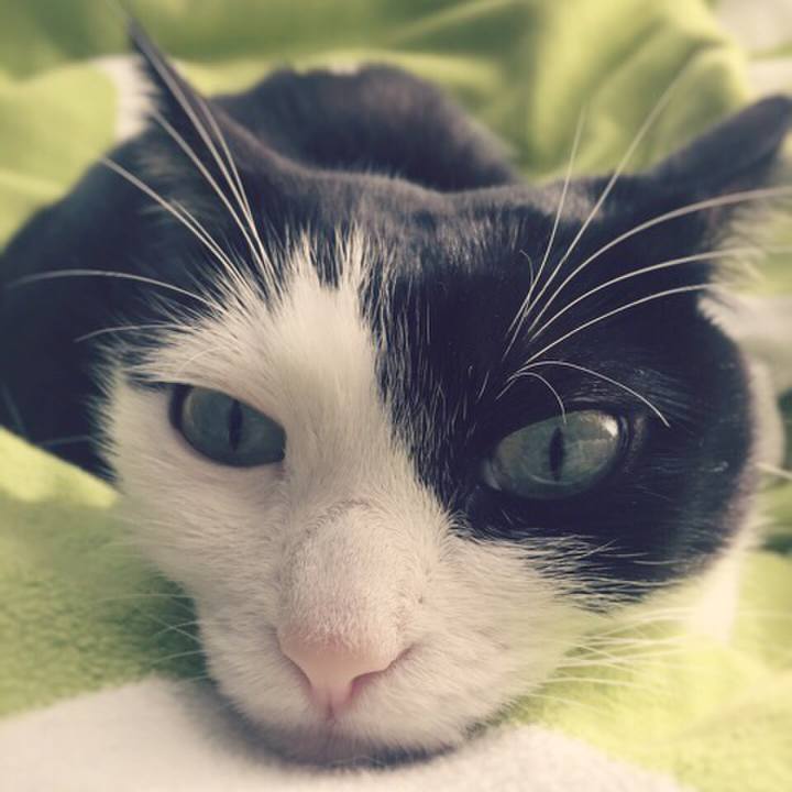 6ef4e81b 820a 40ce 8c5e 55ed7212a6fd