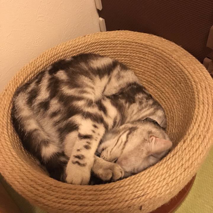 6ef4e8ab aeae 43c8 85aa e615ca2925e2