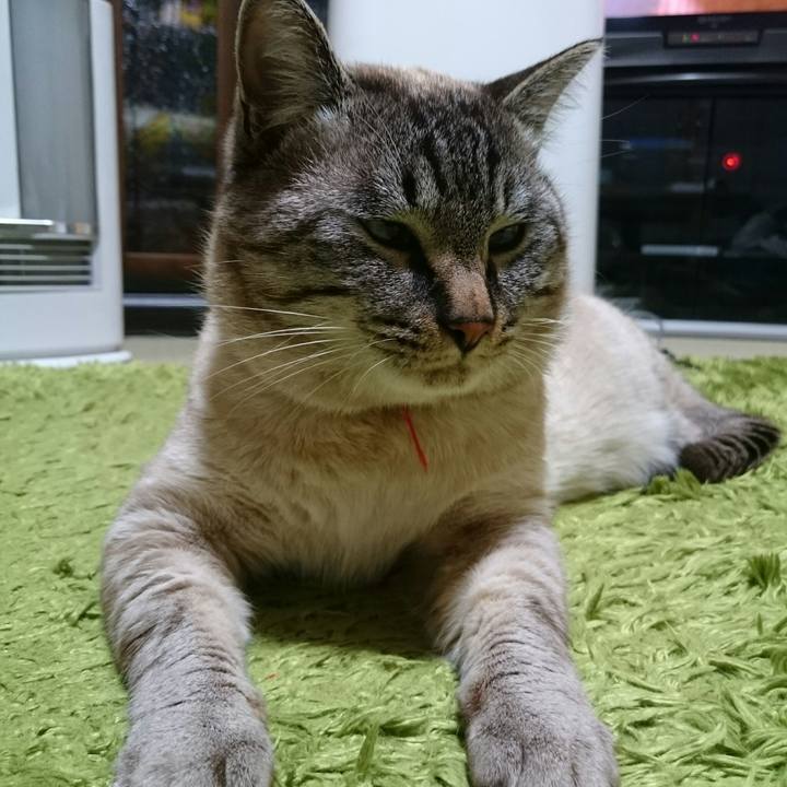 6ef56599 4c18 4293 8cfa 617f529ba6cb