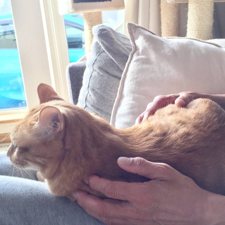 6ef6215e c6aa 422a af0a 1e3b484de068