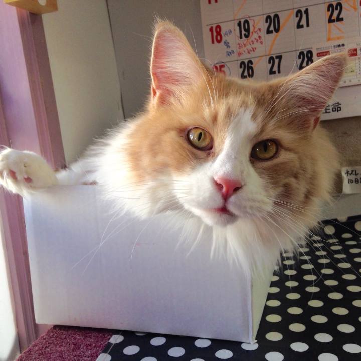 6ef63645 6fae 4354 85c6 b1c1eb539246