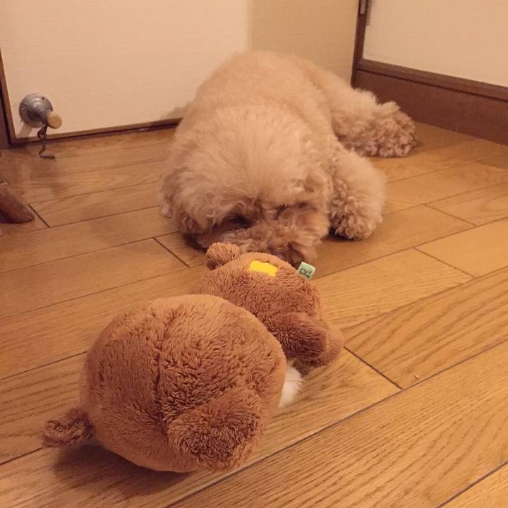 6ef6750c b112 4af5 80aa a6e72fe0400c