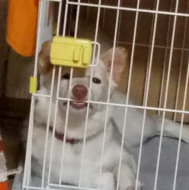 6ef6ef0b cc2f 43f4 b2a6 324e7a577d4c