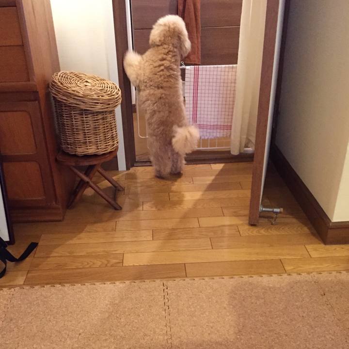 6ef7153e 3c6d 4504 8e37 f0f7727c750e